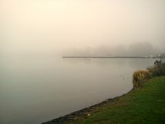 Heute Morgen war es noch recht nebelig am See.