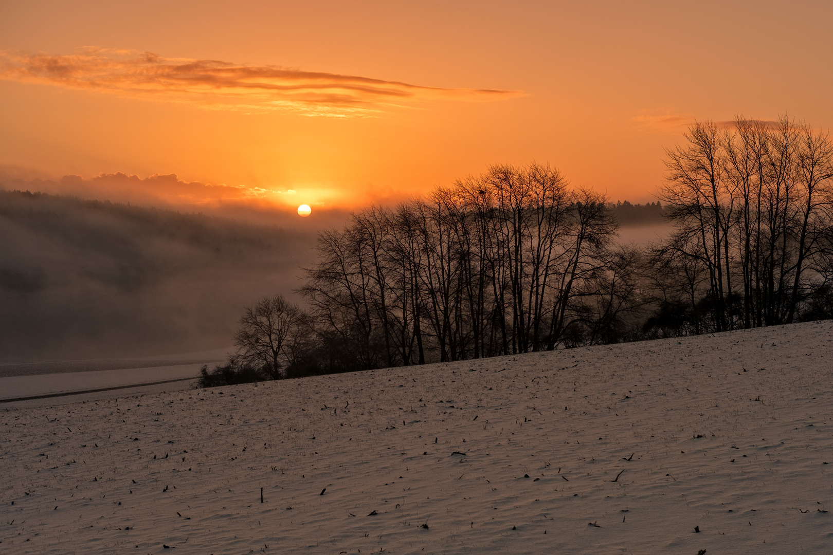 Heute Morgen, Wintermorgen