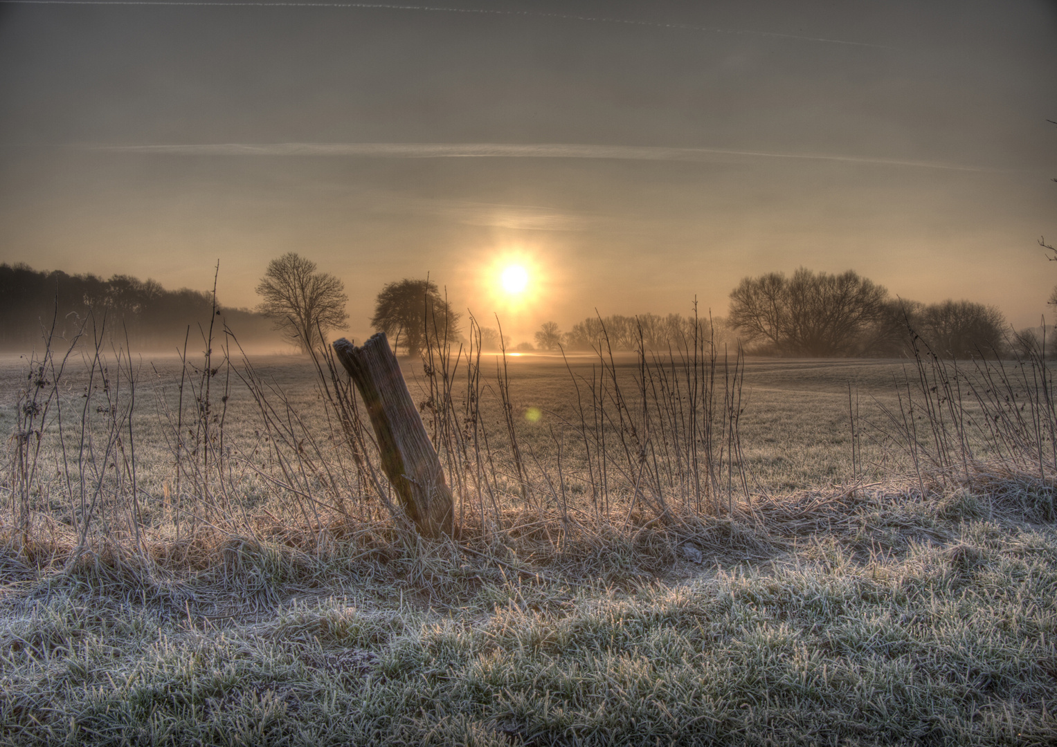 heute morgen...08:30h....Leine-Auen