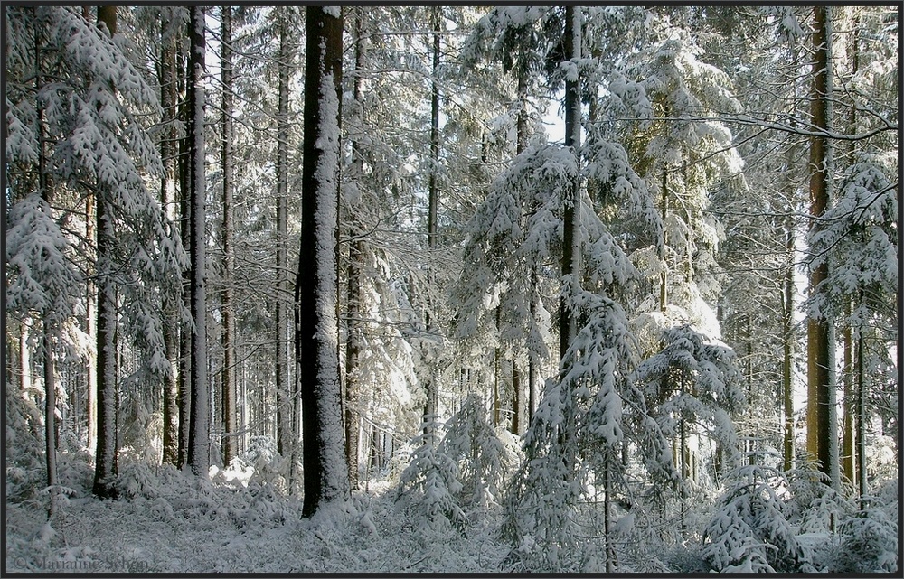 Heute Nachmittag...