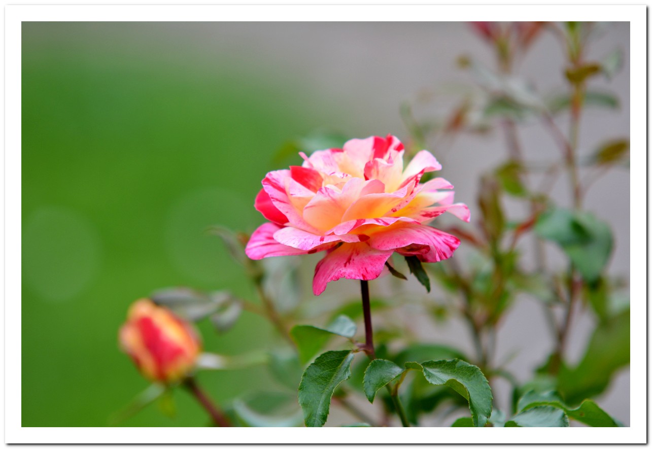 Heute Nachmittag fotografiert