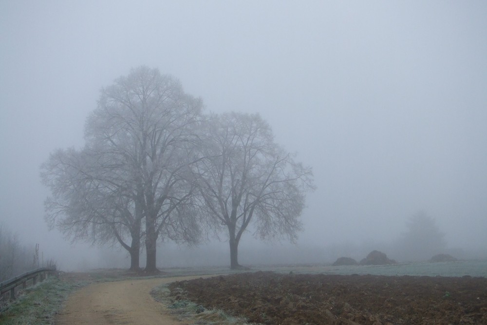 Heute Nebel