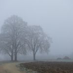 Heute Nebel