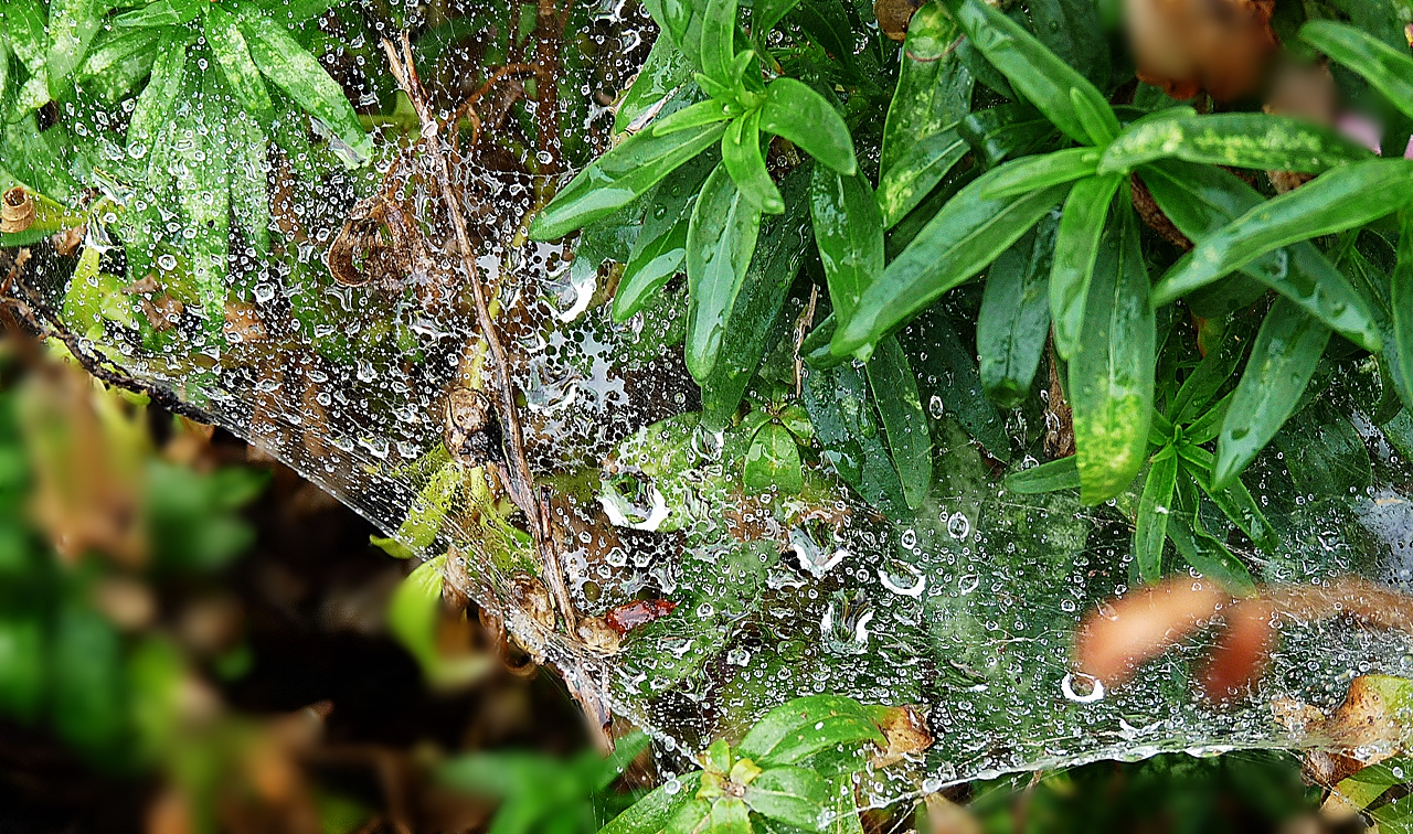 heute Regen