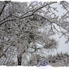 Heute regnet es ohne Ende ..so wäre es schöner ...