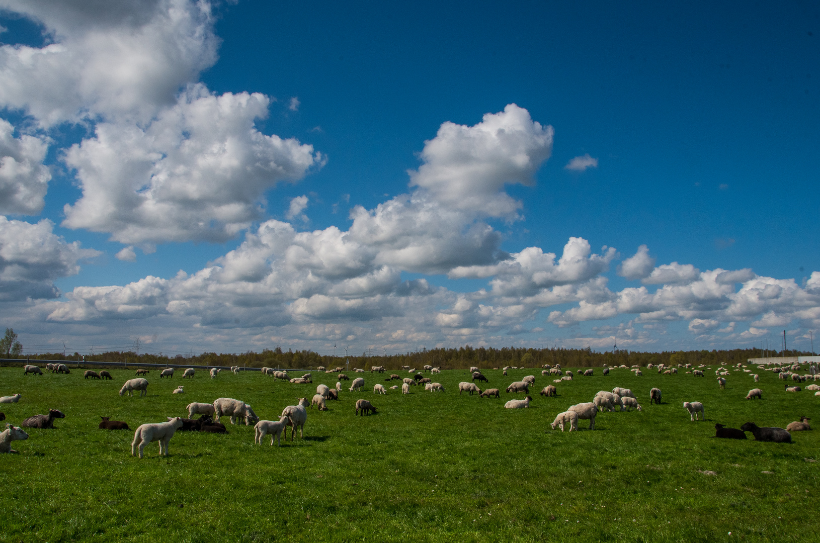 Heute sah der Himmel richtig Friesisch aus