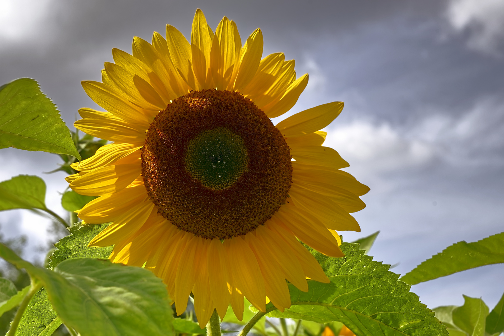 Heute scheint die Sonne