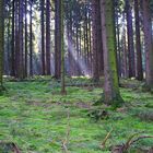 Heute schien die Sonne