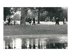 Heute schien die Sonne und es störte niemanden, dass der Teich im Park noch zugefroren war...