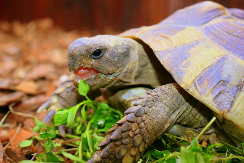 Heute schmeckt´s!