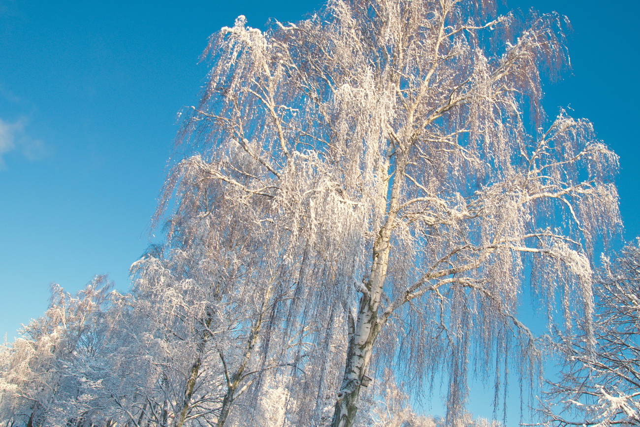 Heute Schnee