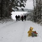 Heute Schnee Spaziergang…