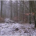 heute schneite es (hoy estaba nevando)