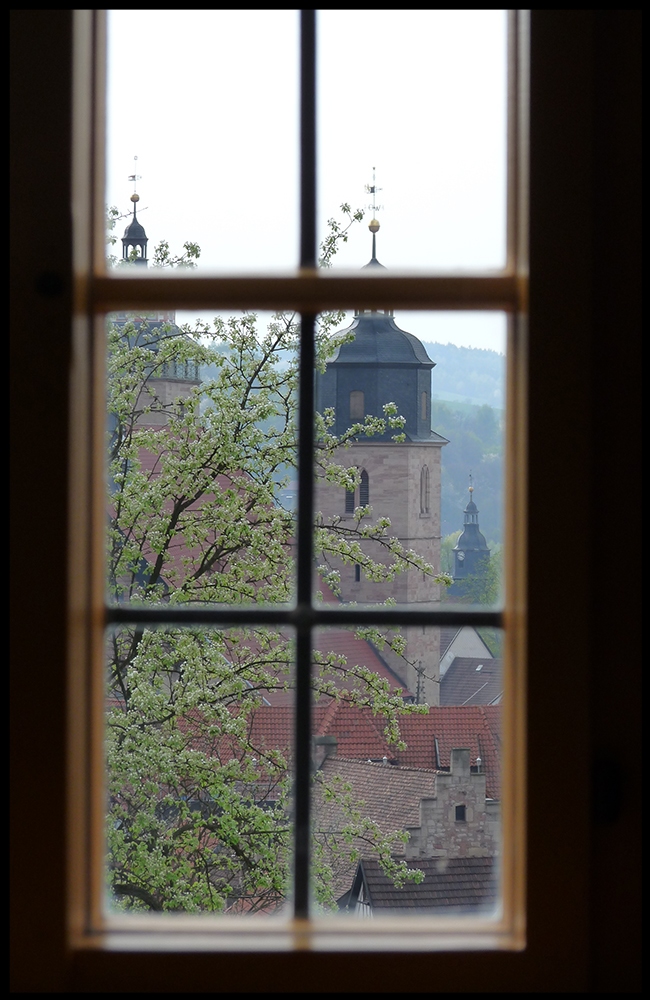 Heute schon aus dem Fenster gesehen?