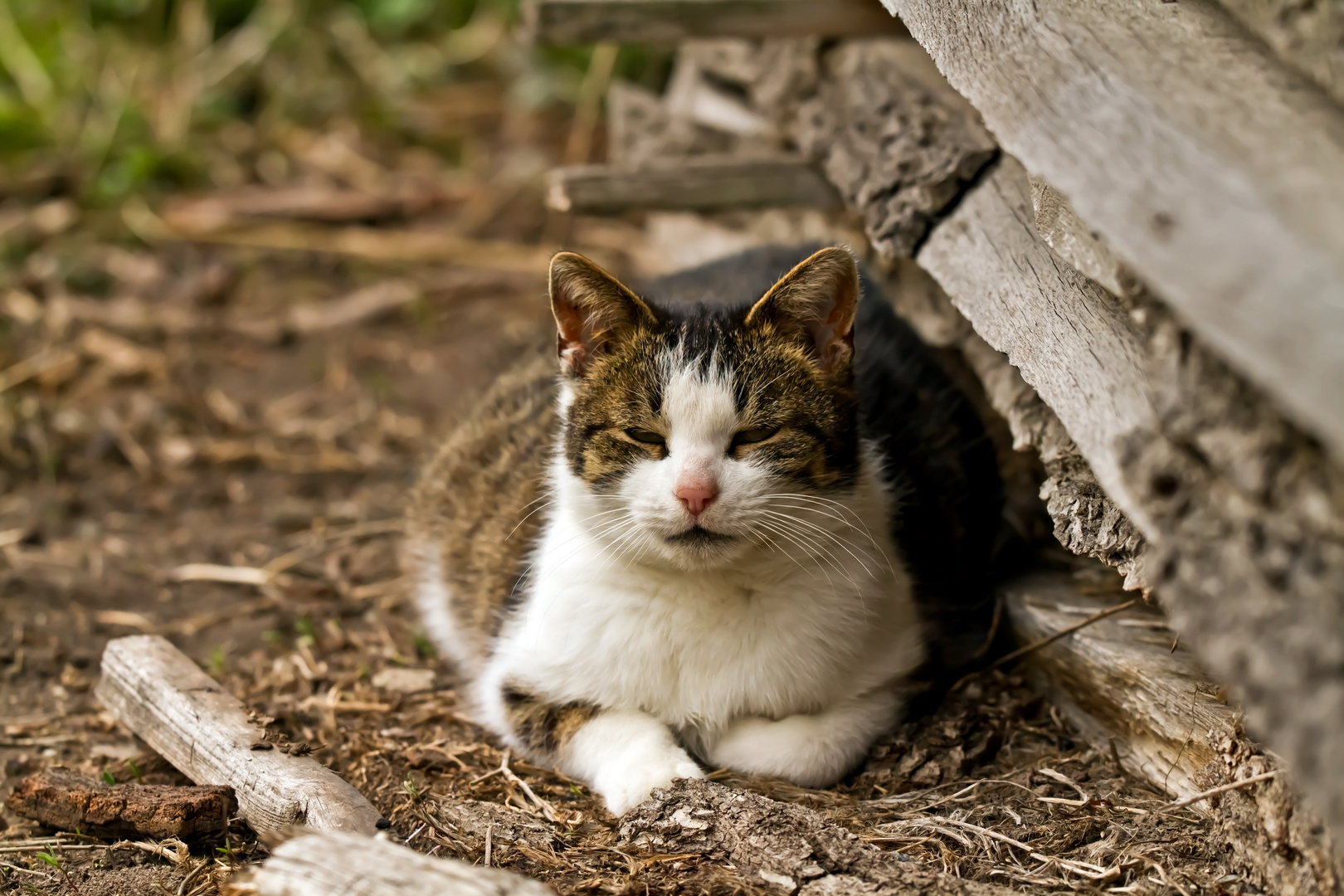 Heute schon gechillt ? :-)