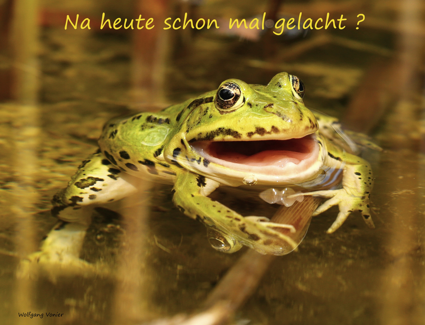 Heute schon gelacht..........