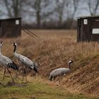 Heute sind scheinbar keine Fotografen da.