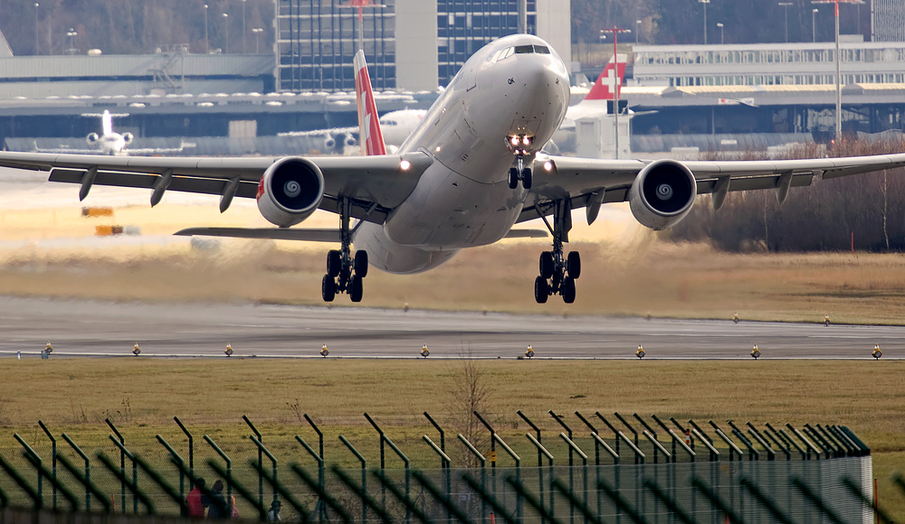 Heute sind sie wieder hinten raus ! Canon mit 800mm