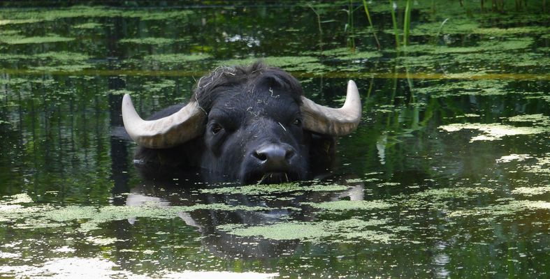 heute sollen es 28 Grad und mehr werden