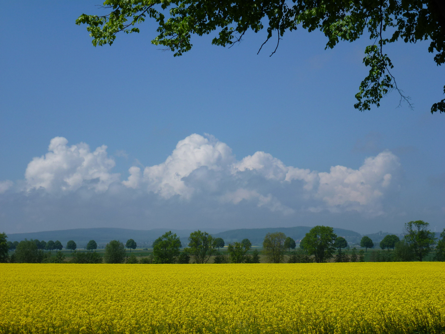 ...heute Sonne...