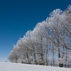 Heute Sonne Satt