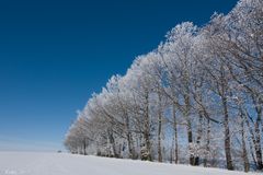 Heute Sonne Satt