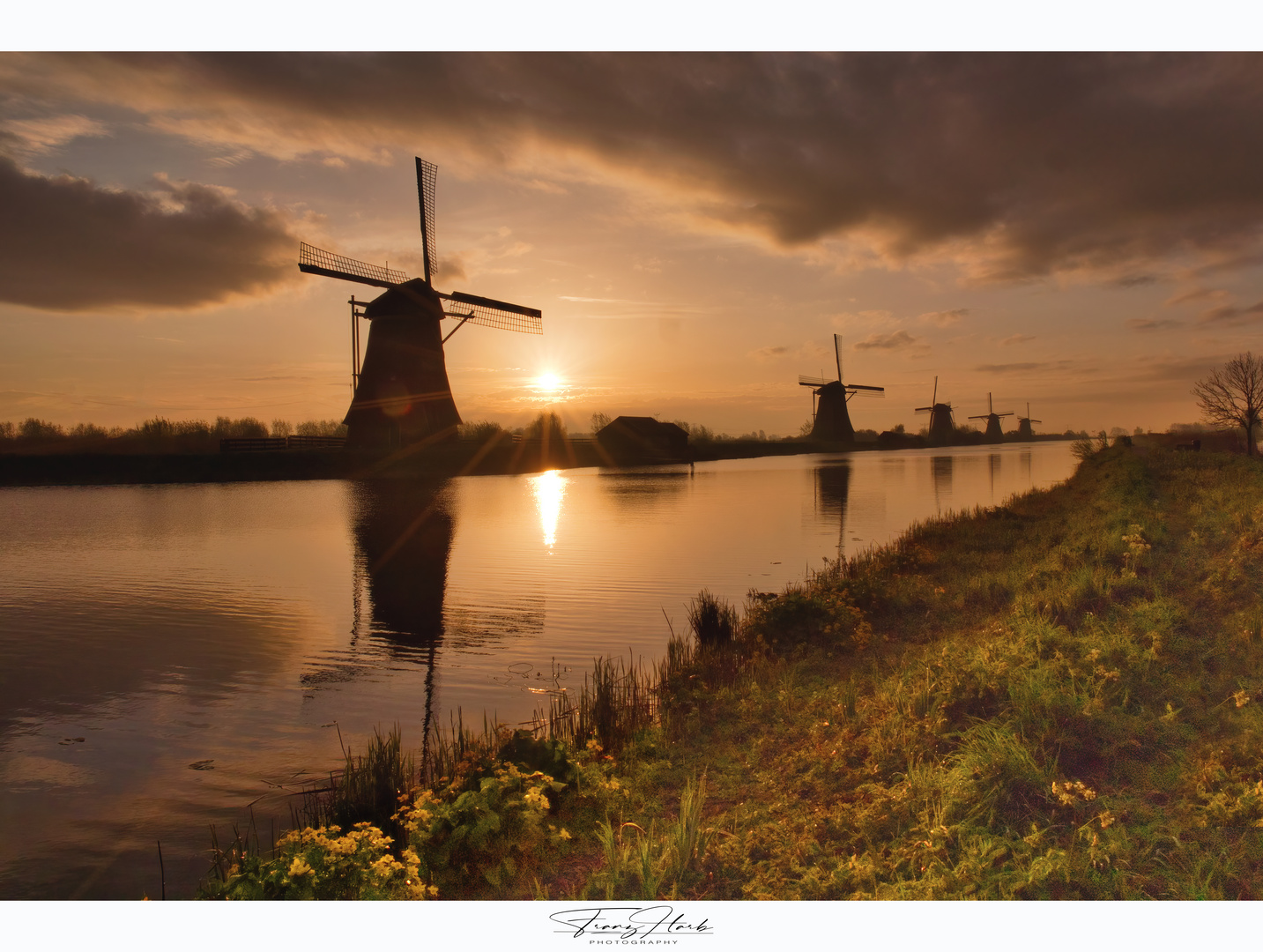 Heute: Sonnenaufgang bei den Windmühlen von Kinderdijk 