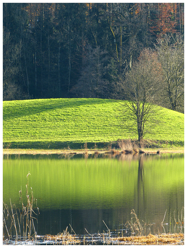 heute sonnig