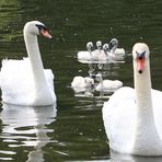 heute spiegelt sich mal die Familie