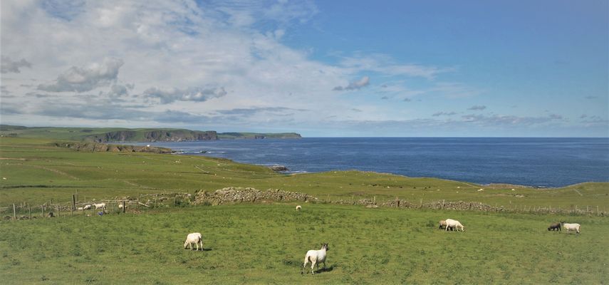 Heute tut's ein bisschen weh