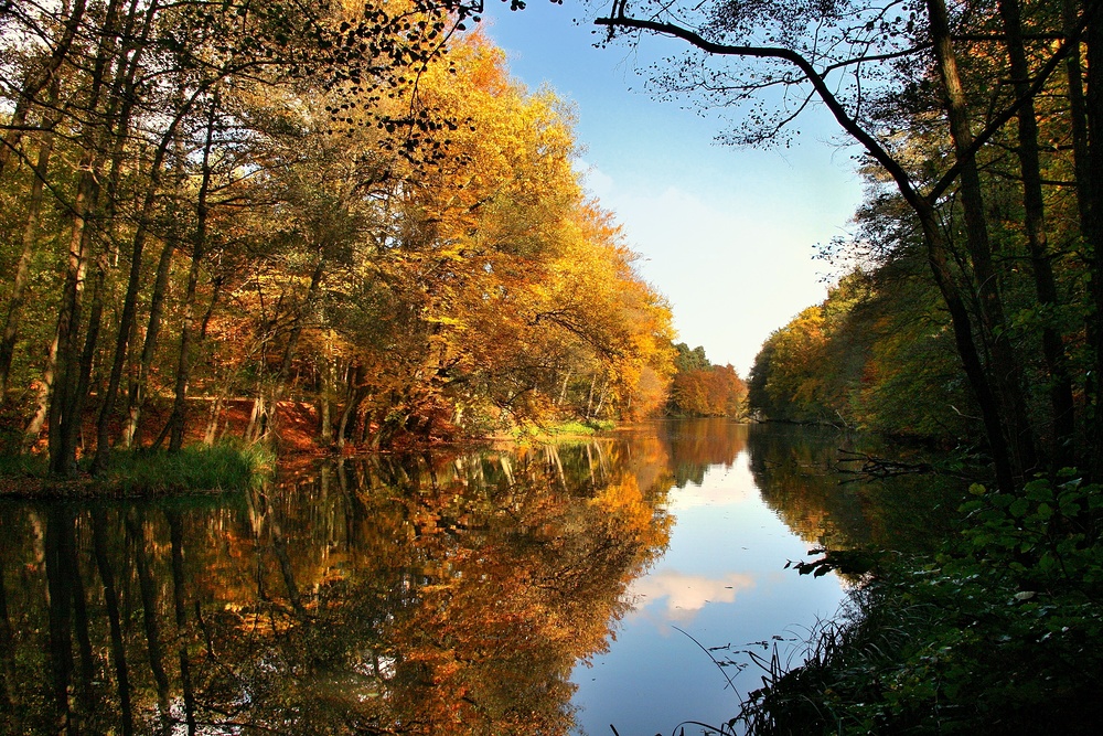 Heute um 15 Uhr kam die Sonne heraus, Camera geschnappt und ab zum Blechhammerweiher...