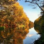 Heute um 15 Uhr kam die Sonne heraus, Camera geschnappt und ab zum Blechhammerweiher...