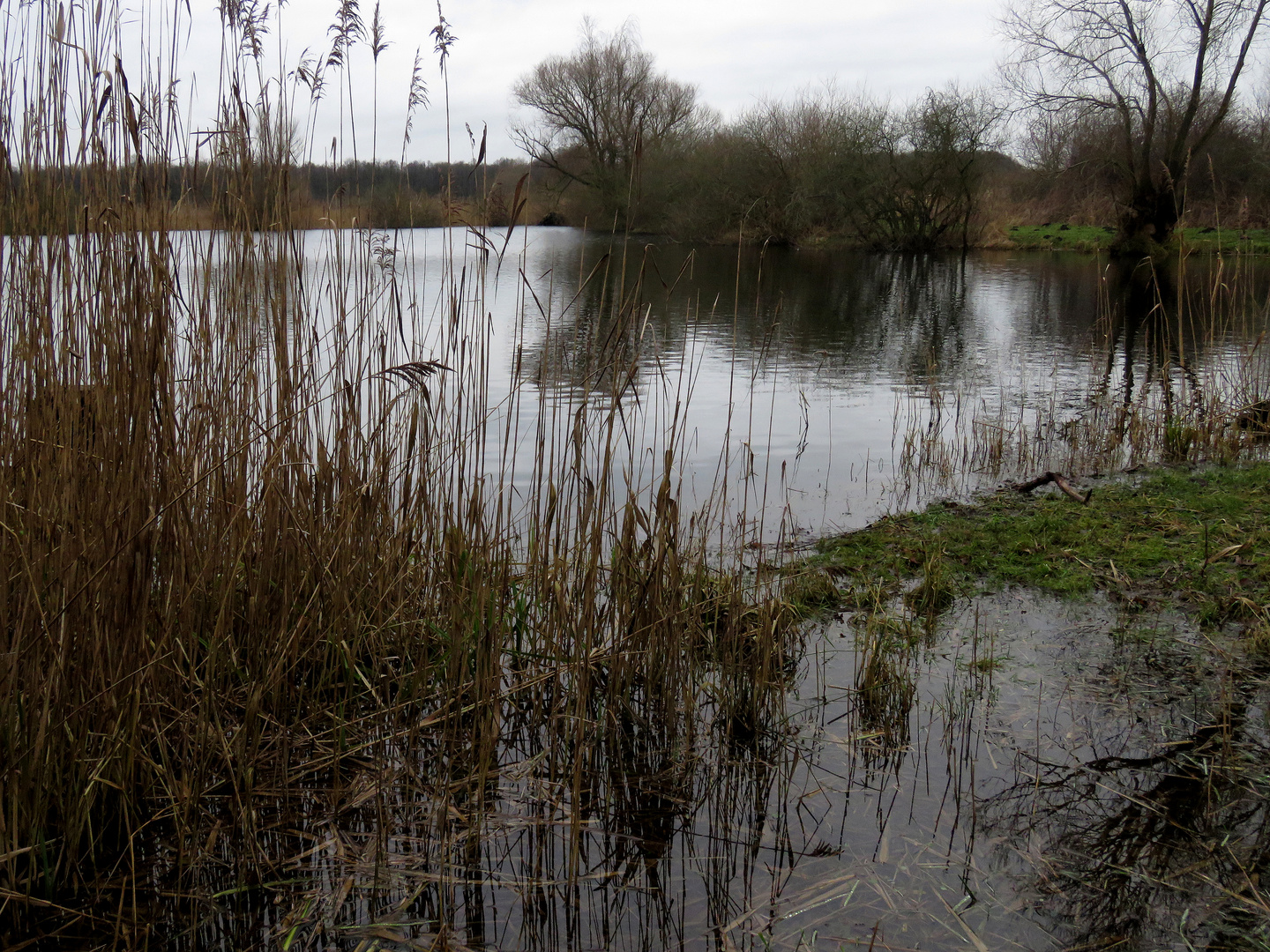 Heute unfreundlicher Empfang im Biotop Brietzer Teiche, Foto & Bild