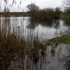 Heute: unfreundlicher Empfang im Biotop Brietzer Teiche,