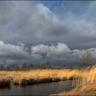 Heute unterwegs im Moor..