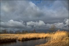 Heute unterwegs im Moor..