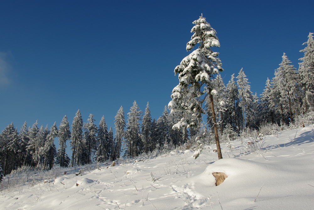 Heute vor 3 Jahren Foto & Bild landschaft, wald, winter im odenwald Bilder auf