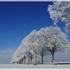 Heute vor einem Jahr - echter Winter