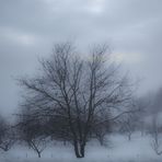 Heute vor unserem Fenster