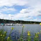 Heute Vormittag am Rothsee