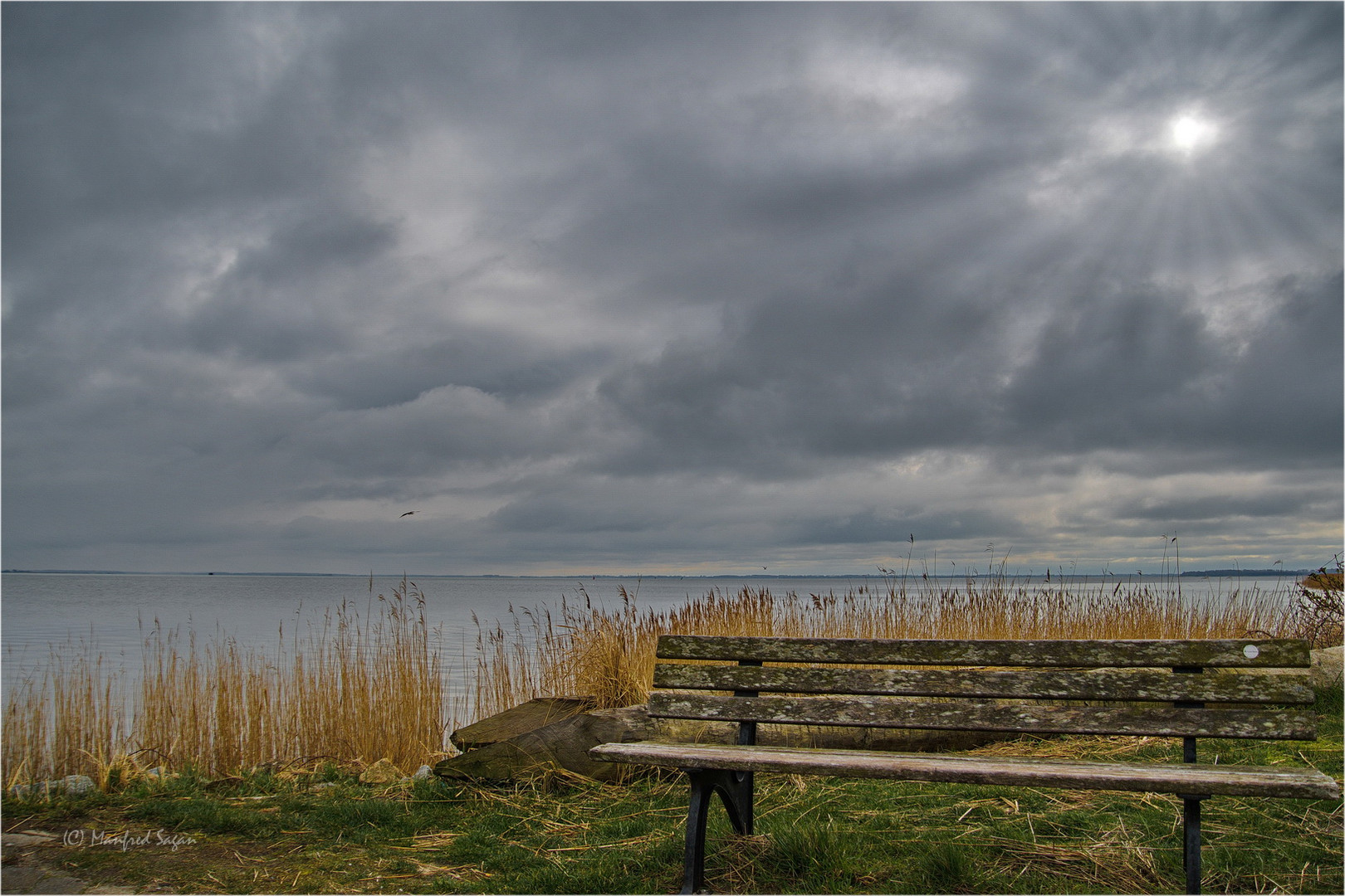 Heute Vormittag am Strelasund...