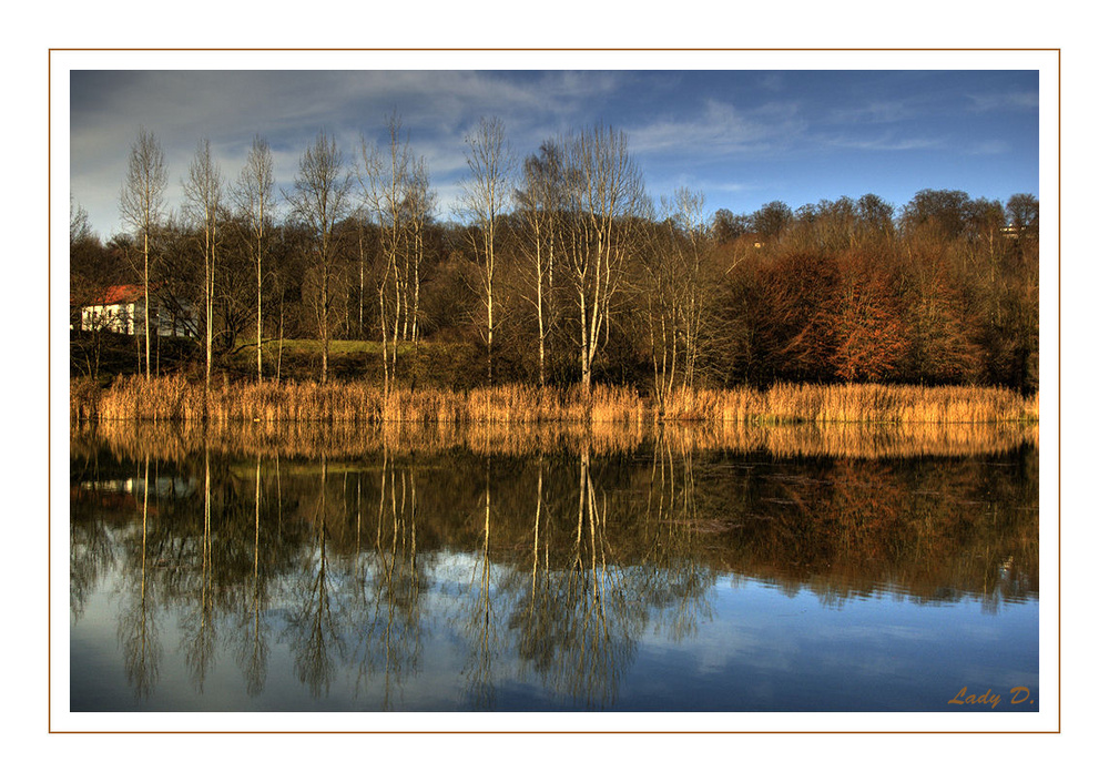 heute Vormittag am Wöhrsee