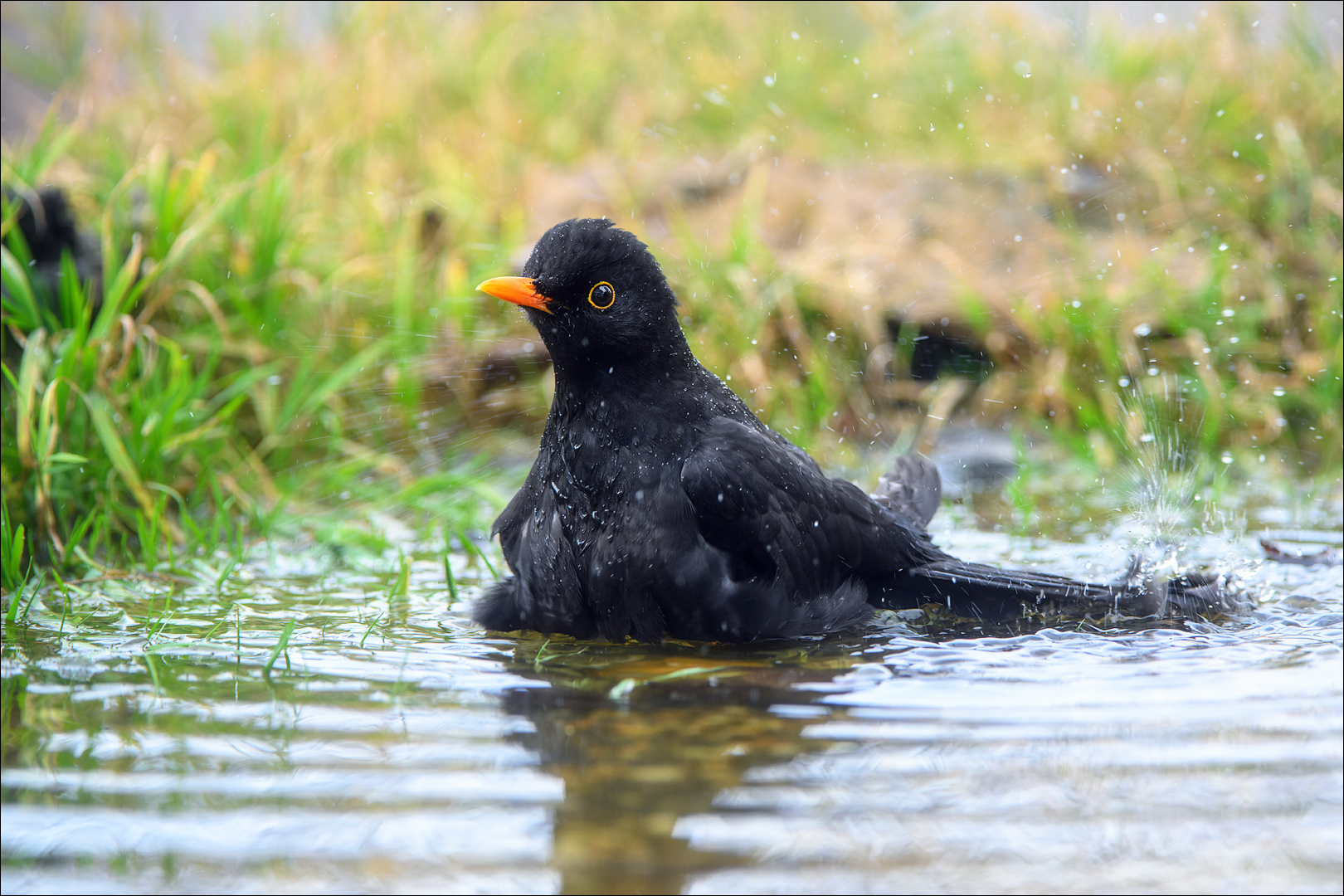 Heute war Badetag :-)