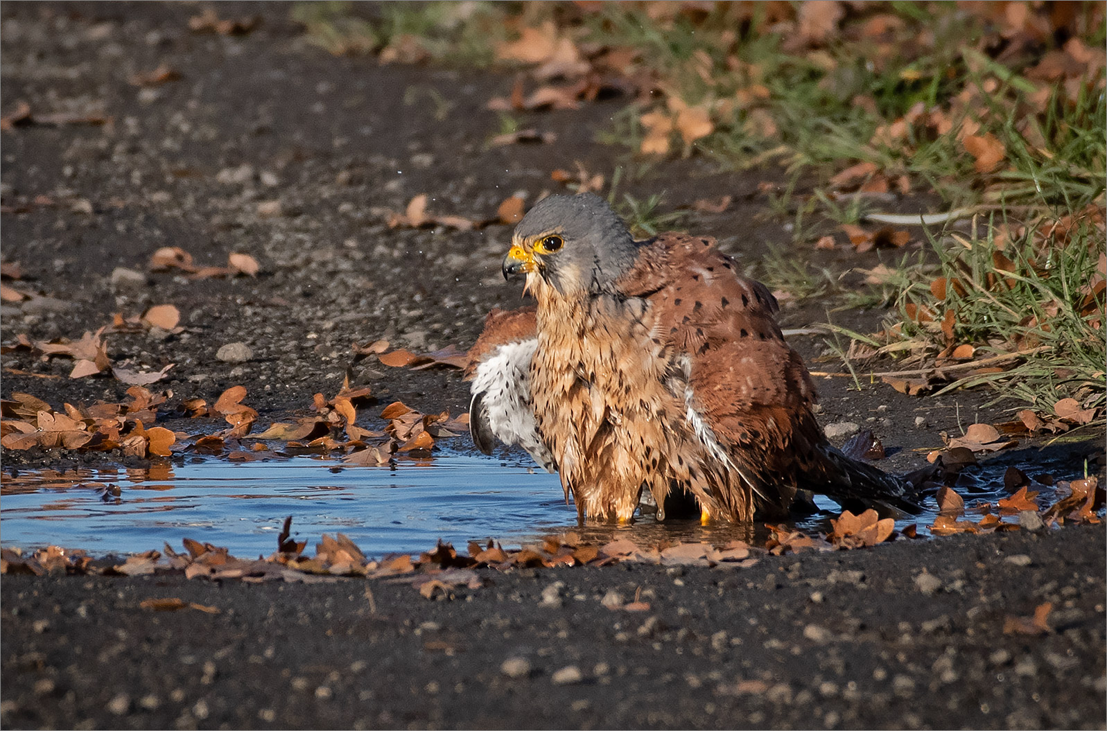 Heute war Badewetter   . . .