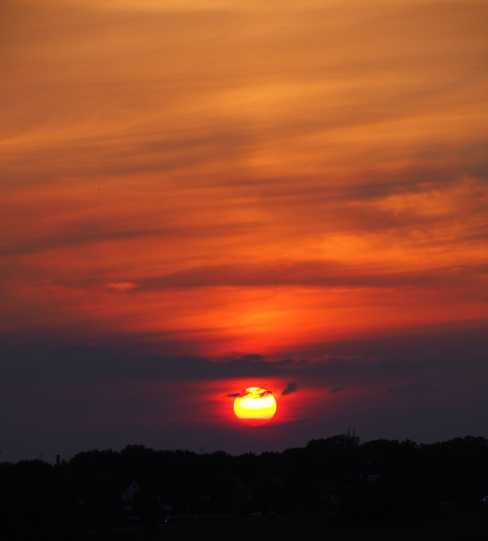 Heute war die Sonne nur ein blasses etwas im Nebel …. 