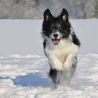 Heute war ein schöner Tag