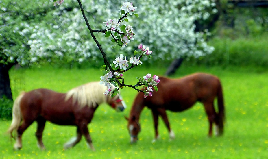 Heute war ein schöner Tag Foto &amp; Bild jahreszeiten, frühling, rund um