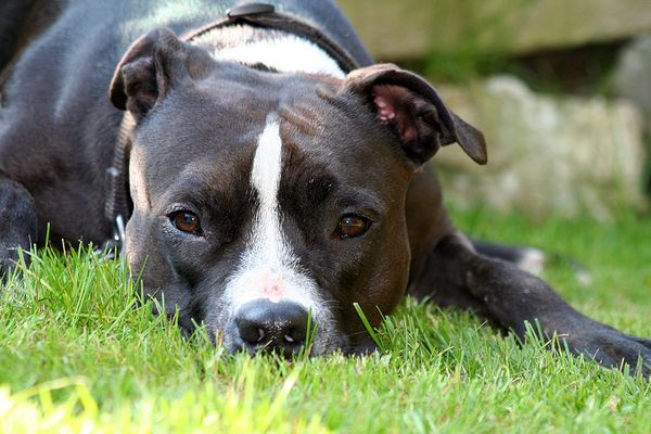 Heute war ein schöner Tag