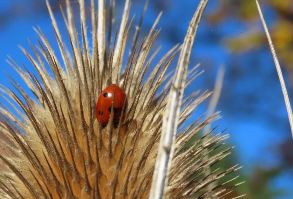 Heute war es noch schön