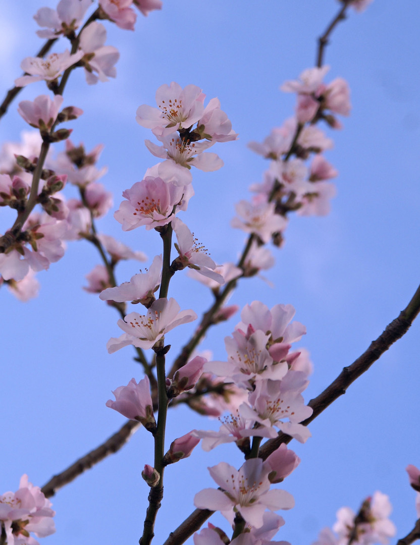 heute war Frühling